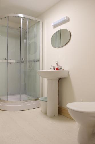 a bathroom with a shower and a sink and a mirror at Melin Tregib in Llandeilo