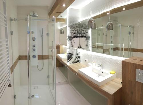 a bathroom with a shower and a sink and a shower stall at Apartamenty nad potokiem in Zakopane