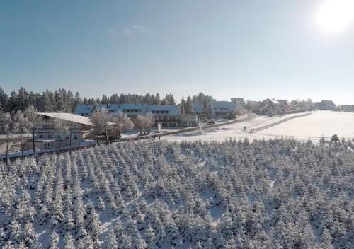 an empty field of plants in the snow at Der schöne Asten - Resort Winterberg in Winterberg