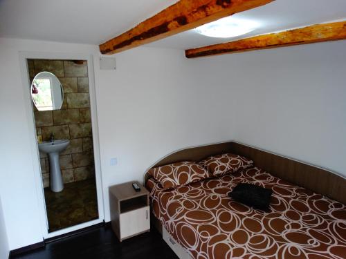 a bedroom with a bed with a sink and a mirror at Casa Veche Corbeni in Corbeni
