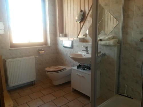 y baño con aseo, lavabo y ducha. en Ferienwohnung Familie Faath, en Bellheim