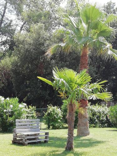 a palm tree and a bench in a park at Agriturismo Lupo Vecchio in Grosseto