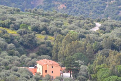 een huis aan de zijkant van een heuvel met bomen bij Villa Tiberio in San Mauro Castelverde