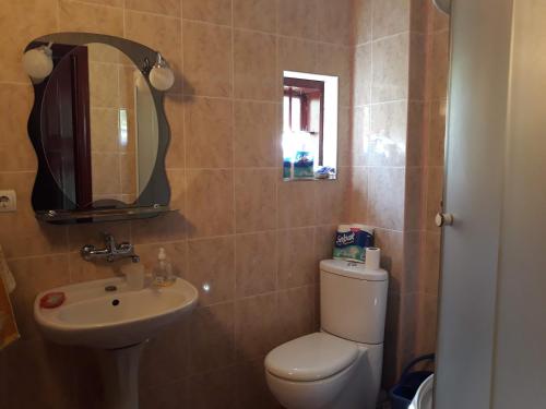 ein Badezimmer mit einem WC, einem Waschbecken und einem Spiegel in der Unterkunft Котедж "Лісовий затишок" in Glubokoye