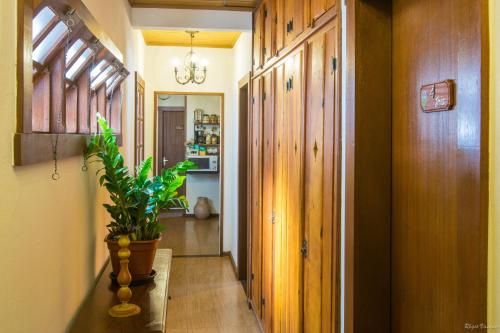 a hallway with a potted plant on a table at Hospedaria de Alice in Tiradentes