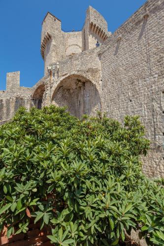 Fotografie z fotogalerie ubytování Dominium Old City Suite v Dubrovníku