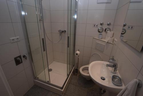 een badkamer met een douche, een toilet en een wastafel bij AB Apartment Objekt 109 in Ludwigsburg