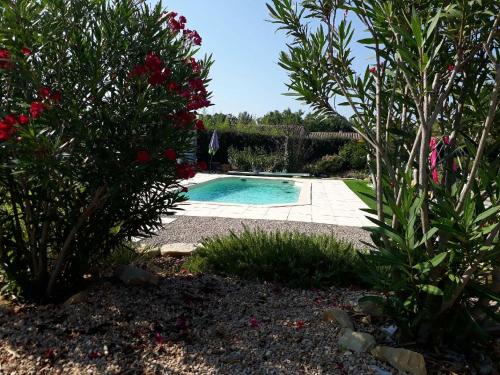 una piscina en un jardín con árboles y flores en La Colombe, en Tourrettes