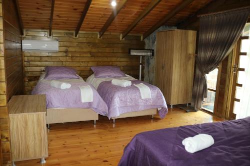 two beds in a room with wooden walls at Castle Nolana in Geredeli
