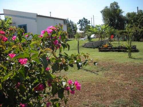 a bush with pink flowers in a yard at Casa vacanze La Meridiana in Donnalucata