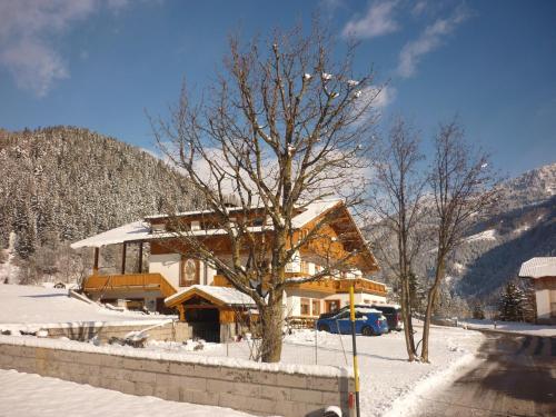 a building in the snow with a tree at Pension Wiesenhof in Campo di Trens