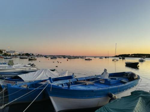Gallery image of Agriturismo Torrevecchia in San Pancrazio Salentino