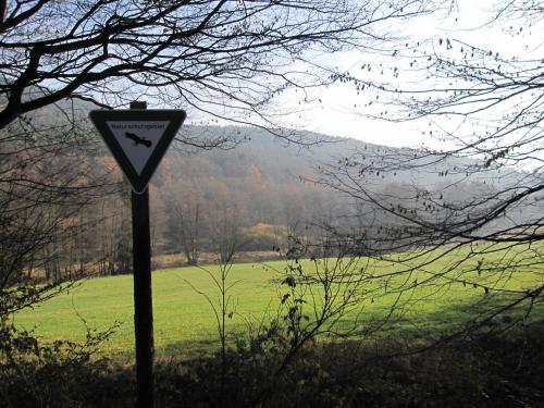 a yield sign in front of a green field at Landgasthof Geiersmühle in Vielbrunn