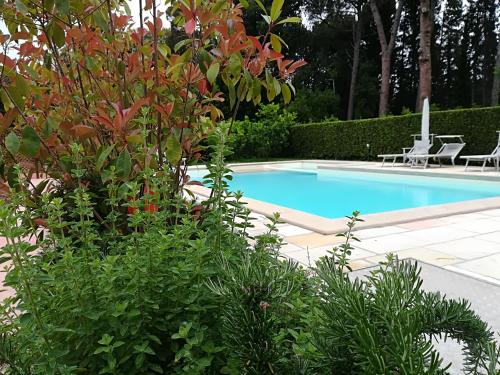a swimming pool in a garden with chairs and plants at Casale la Crocetta in Rosignano Solvay