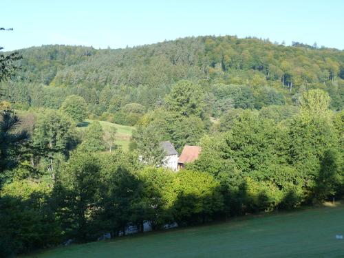 a house in the middle of a hill with trees at Landgasthof Geiersmühle in Vielbrunn
