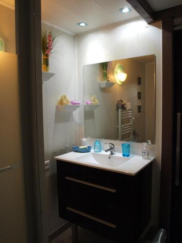 a bathroom with a sink and a mirror at Le petit chalet in Porticcio