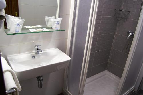 a bathroom with a sink and a shower at Hotel Altariño in Portonovo