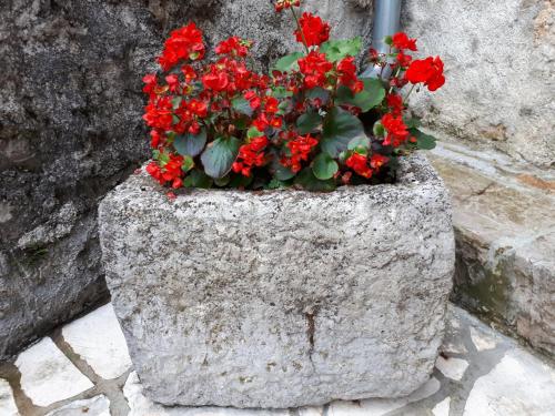 Kuća Za Odmor Mikleus