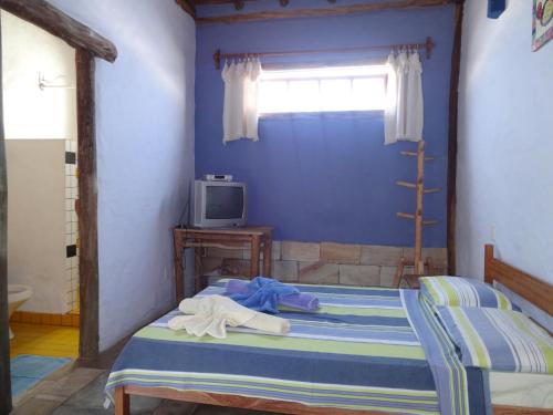 um quarto com uma cama com paredes azuis e uma televisão em Pousada Das Candeias em Carrancas