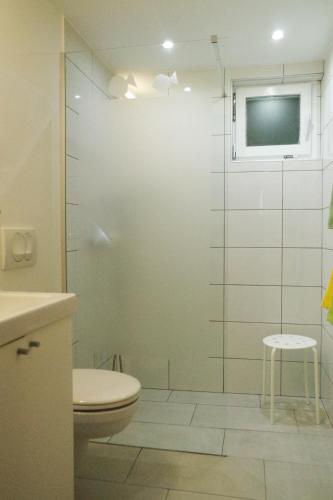 a bathroom with a toilet and a glass shower at Apartment Vista in Tolmin
