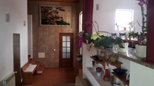 a room with a hallway with a door and some plants at The Wishing Well Country House in São Martinho do Porto