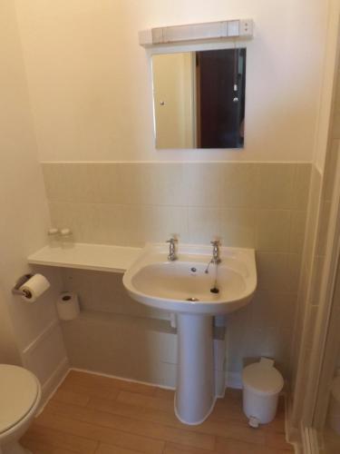 uma casa de banho com um lavatório, um espelho e um WC. em Ashleigh House em Coventry