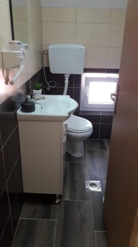 a bathroom with a white toilet and a sink at Apartmani Prisoje in Žabljak