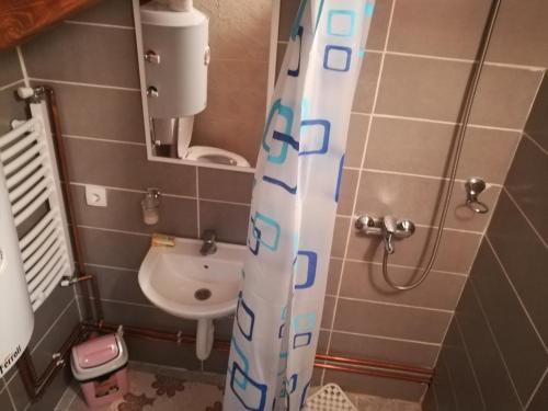 łazienka z toaletą i zasłoną prysznicową w obiekcie SAŠA w mieście Kolašin