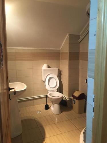 a bathroom with a toilet and a sink at Vila Carla Elena Ranca in Ranca