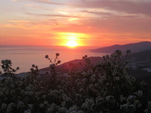 a sunset from the top of a hill with flowers at Cerro del Pozo in Adra
