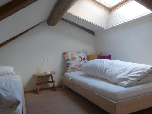 a bedroom with a bed and a skylight at Ches'Arsa in La Punt-Chamues-ch