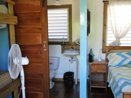 uma casa de banho com um lavatório, um WC e uma cama em The Funky Dodo Backpackers Hostel em Hopkins