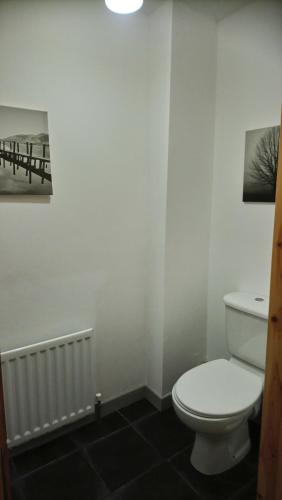a bathroom with a toilet and a picture of a pier at Erne View Apartments 1C - Lakeside Apartment Enniskillen in Enniskillen