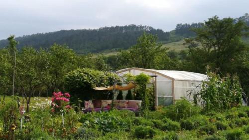 a garden with a tent and some plants and flowers at Lavander Garden in Răscruci