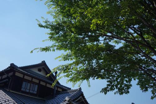 a roof of a building with a tree at 古民家ゲストハウス ナマケモノ in Ōno