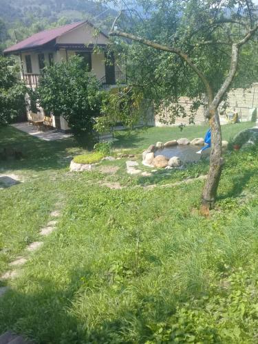 a yard with a tree and a house at Arthur Rest House in Dilijan
