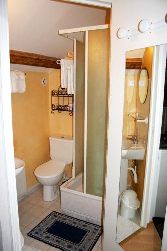 une salle de bain avec toilettes, douche et lavabo dans l'établissement Demeure du NID de la Création, à Vertou