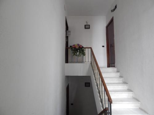 una scala con una pianta in vaso e una porta di Il Panoramico Rooms a Cagliari