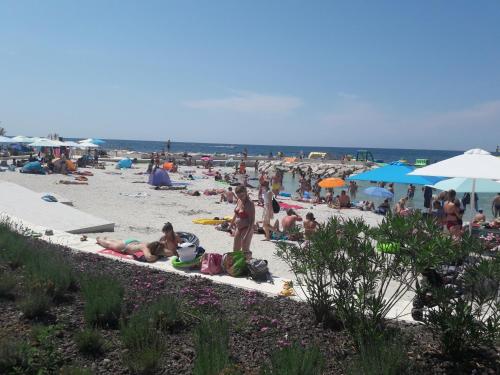 Apartments Residence Info Tourist