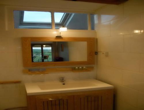 een badkamer met een wastafel, een spiegel en een raam bij La Grange aux Loirs B&B in Courtioux
