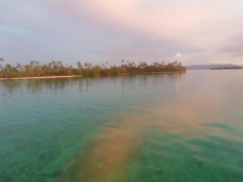 an island in the middle of a large body of water at Play to Live San Blas in El Porvenir