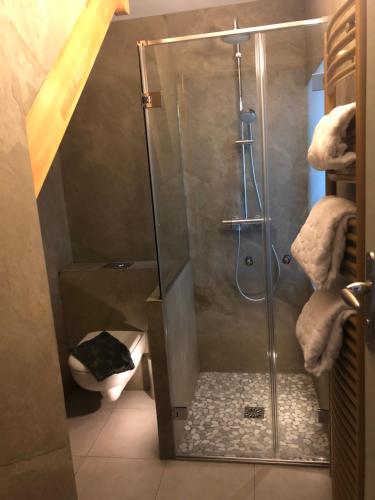 La salle de bains est pourvue d'une douche avec une porte en verre. dans l'établissement Suites du Cabinet Vert, à Orléans