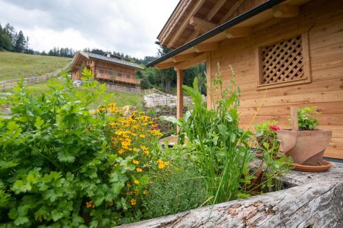 a garden with flowers next to a building at Prenner Alm in Haus im Ennstal