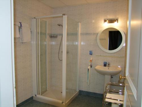 a bathroom with a shower and a sink at Domaine de Gondrange - Chambres d'Hôtes in Havange