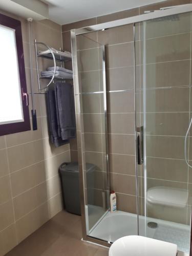 a glass shower in a bathroom with a toilet at Estudio Bellavista in Logroño