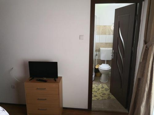 une salle de bains avec toilettes et une télévision sur une commode dans l'établissement Casa de Vacanta Aurelia, à Voineasa