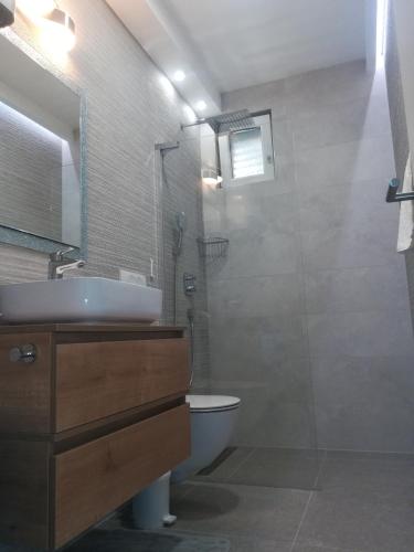 a bathroom with a toilet and a sink and a shower at Centar Guest house in Makarska