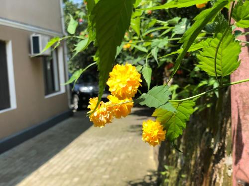 Zahrada ubytování Villa la familia
