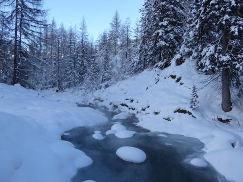 a stream in the snow with snow covered trees at Patschei Trid in Samnaun