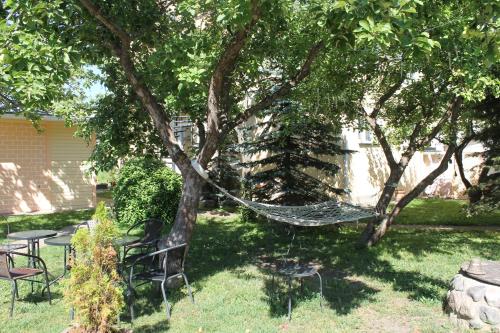 a hammock hanging from a tree in a yard at Ecoland Hotel in Tallinn